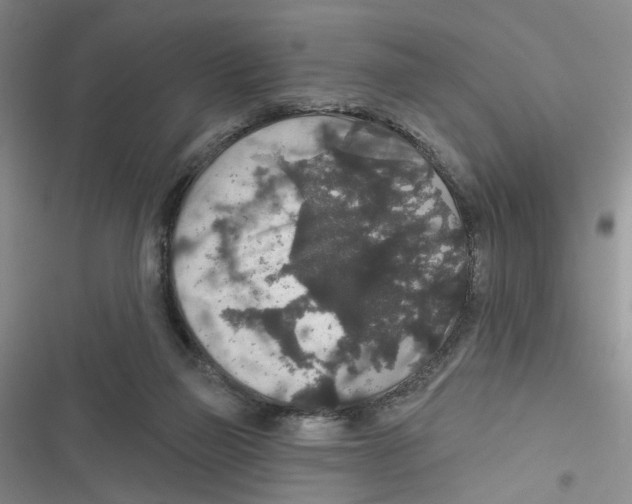 X0000116790165201001151109