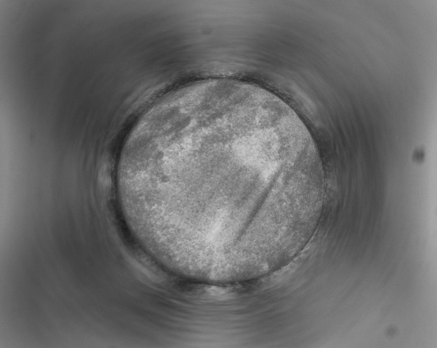 X0000116790166201001151109