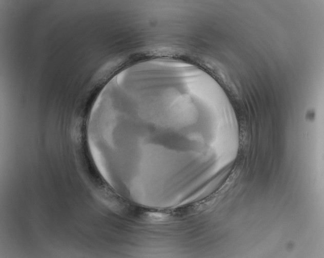 X0000116790167201001151109
