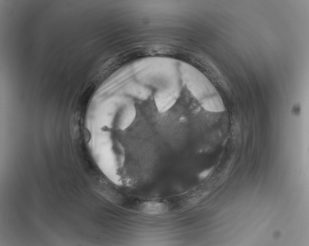 X0000116790169201001151109