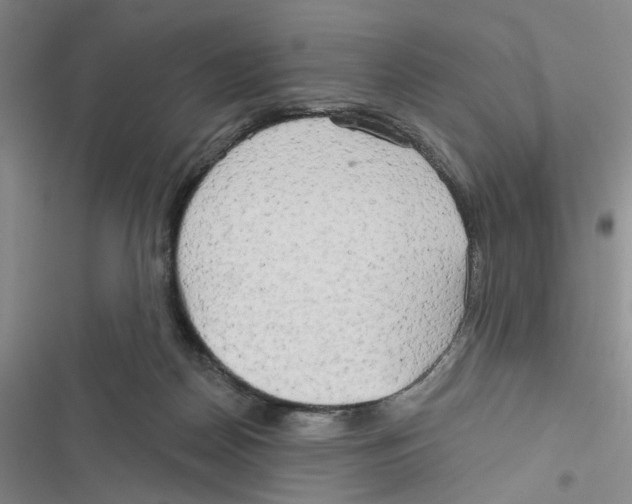 X0000116790170201001151109