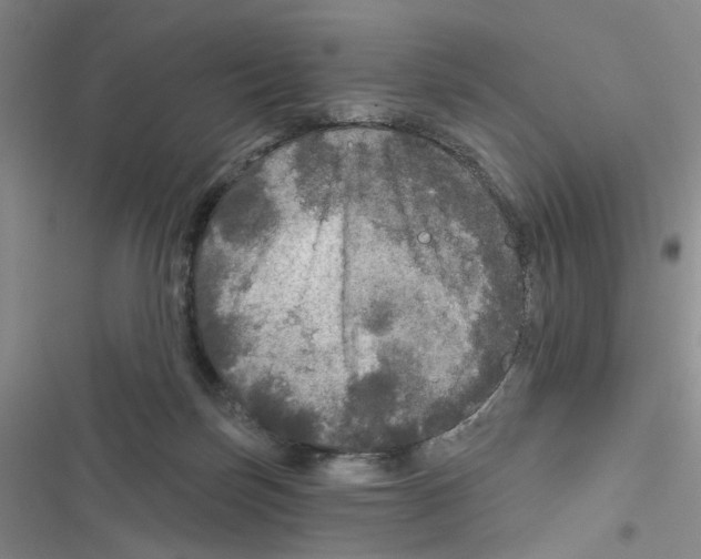 X0000116790171201001151109