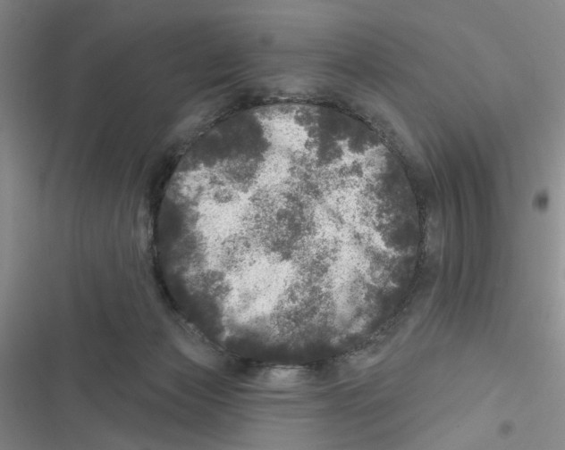 X0000116790173201001151109