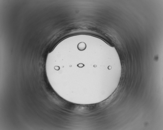 X0000116790174201001151109