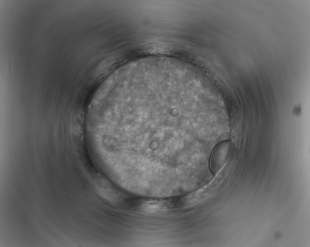 X0000116790175201001151109