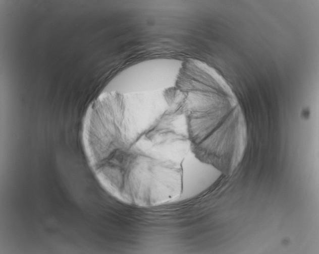 X0000116790177201001151109
