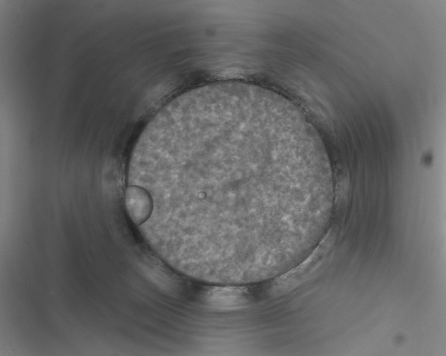 X0000116790179201001151109