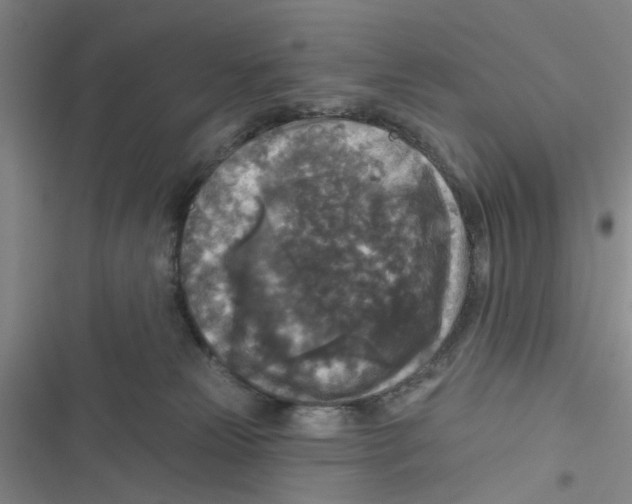 X0000116790181201001151109