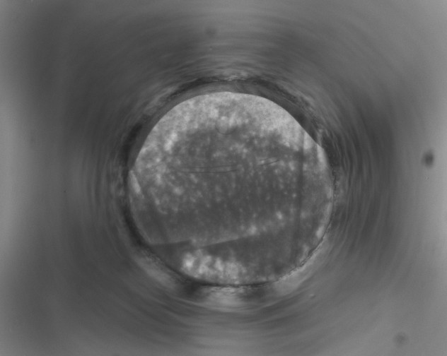 X0000116790182201001151109