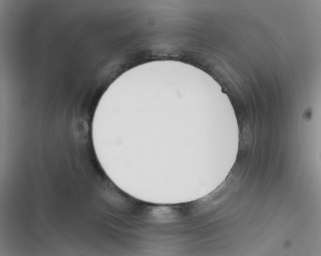 X0000116790183201001151109