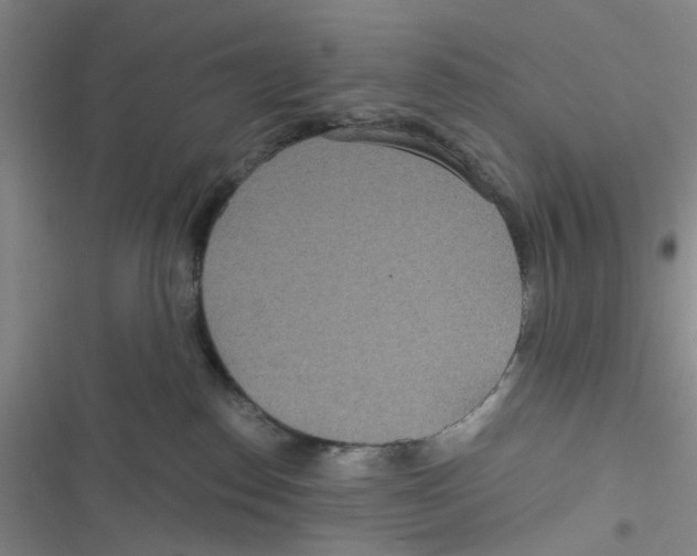 X0000116790186201001151109