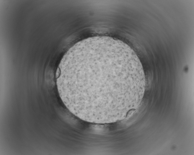 X0000116790187201001151109