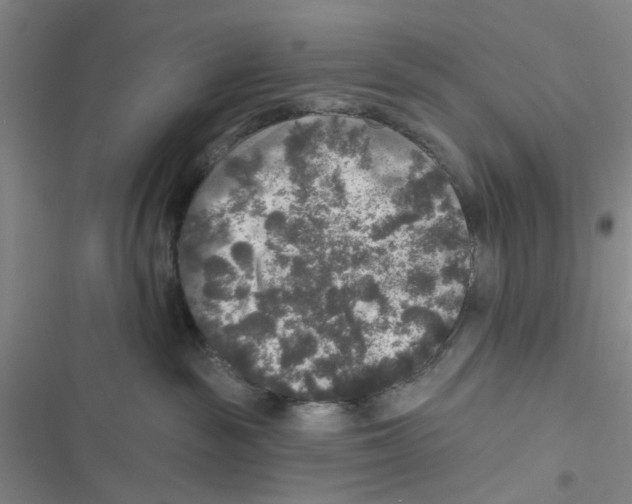 X0000116790189201001151109