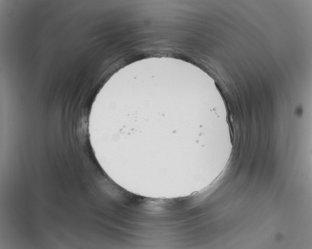 X0000116790190201001151109