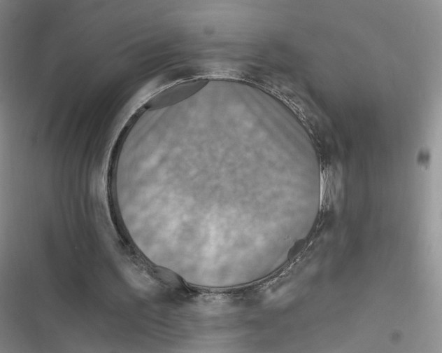 X0000116790195201001151109