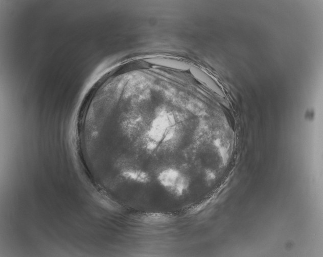 X0000116790198201001151108