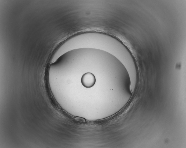 X0000116790201201001151108
