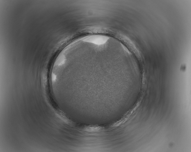 X0000116790202201001151108