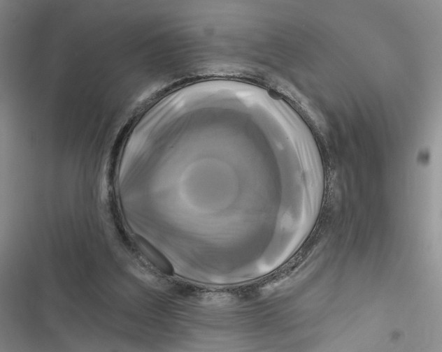 X0000116790203201001151108