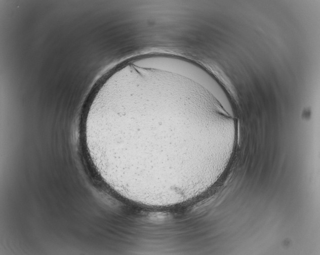 X0000116790204201001151108