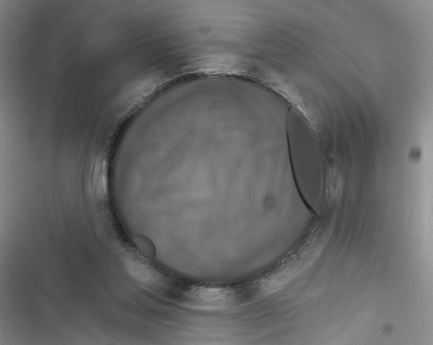 X0000116790205201001151108