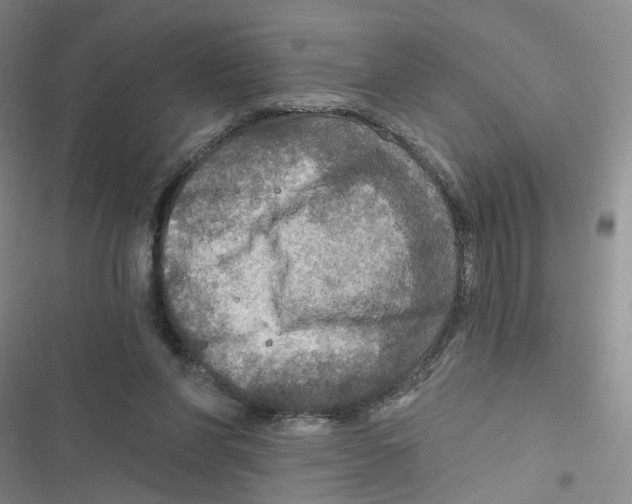 X0000116790206201001151108