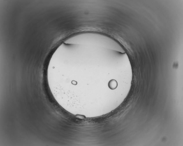 X0000116790207201001151108