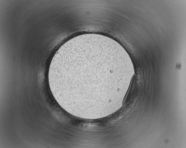 X0000116790208201001151108