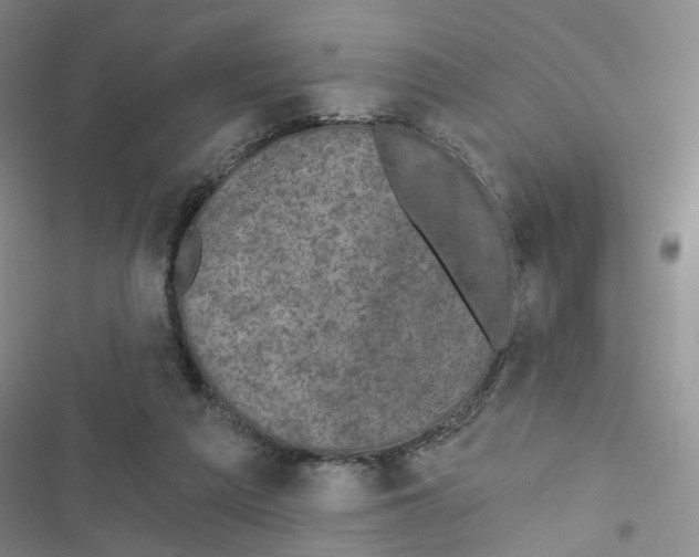 X0000116790209201001151108