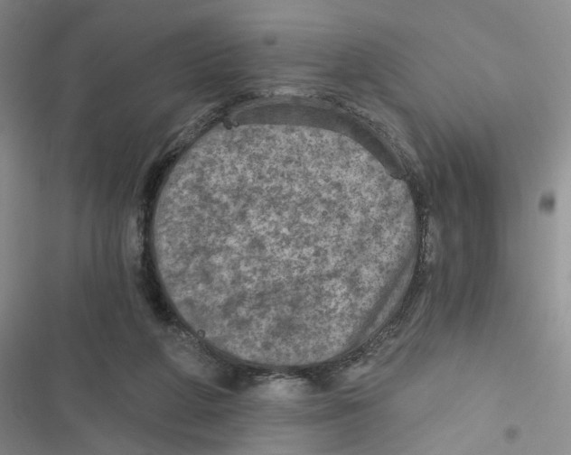 X0000116790210201001151108
