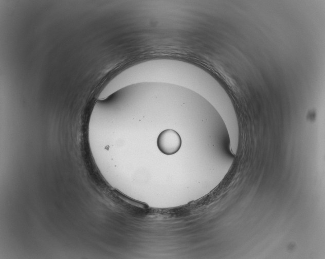 X0000116790211201001151108