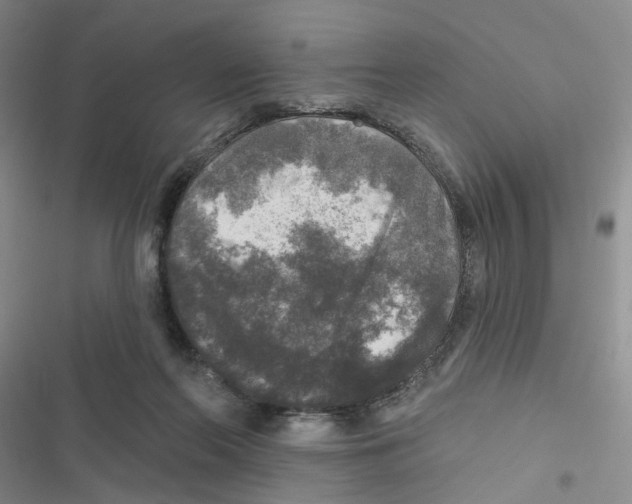 X0000116790214201001151108