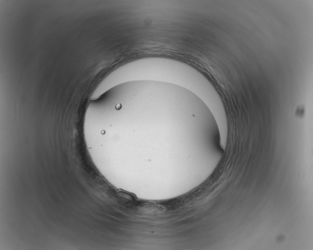 X0000116790215201001151108