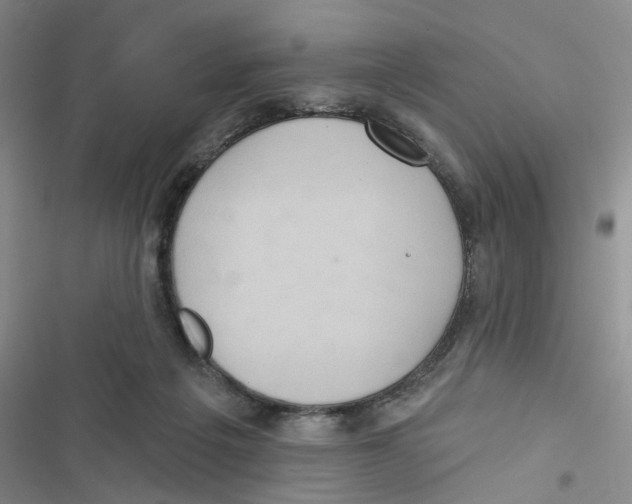 X0000116790217201001151108