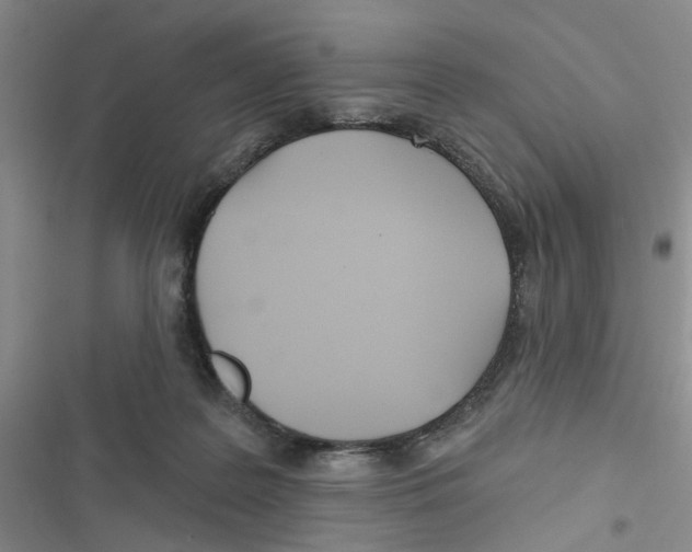 X0000116790219201001151108