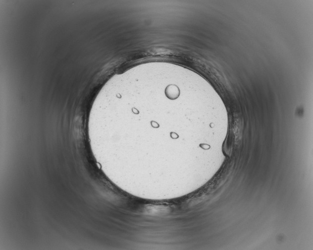 X0000116790220201001151108