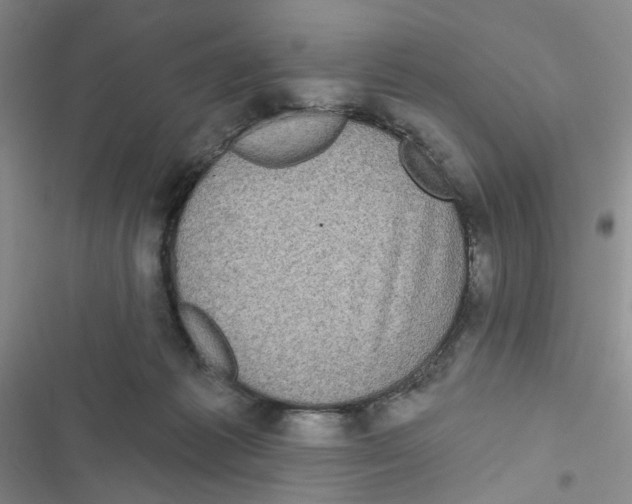 X0000116790221201001151108