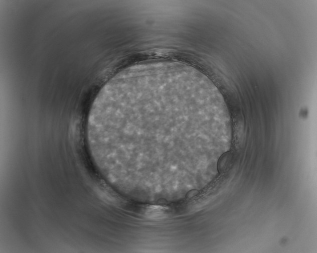 X0000116790222201001151108