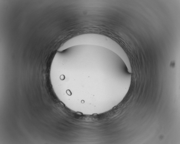 X0000116790223201001151108