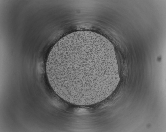 X0000116790224201001151108