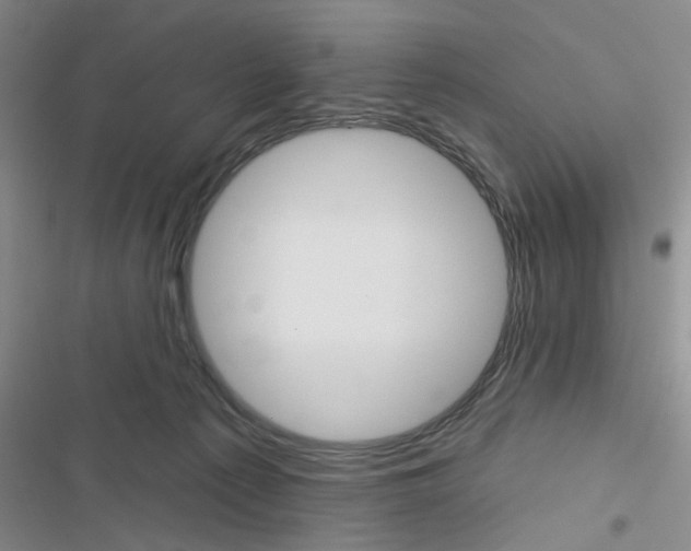 X0000116790225201001151108