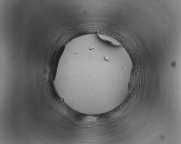 X0000116790227201001151108