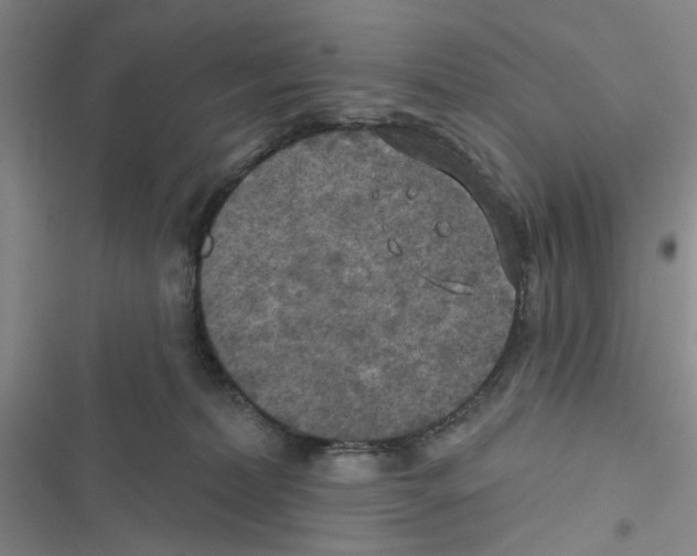 X0000116790228201001151108