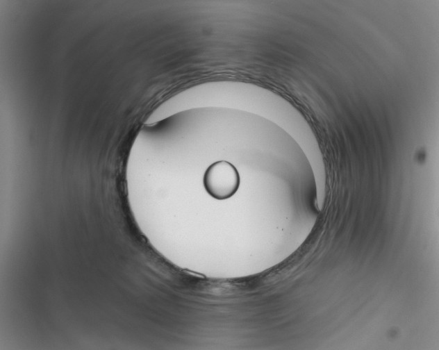 X0000116790229201001151108
