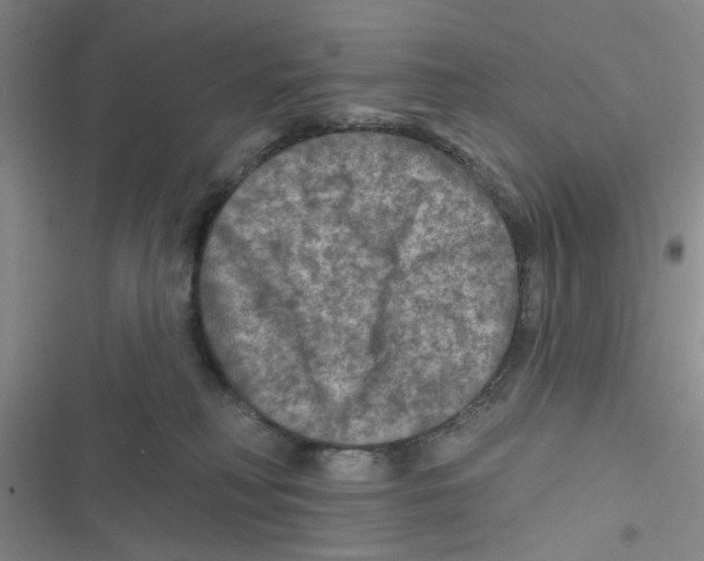 X0000116790230201001151108