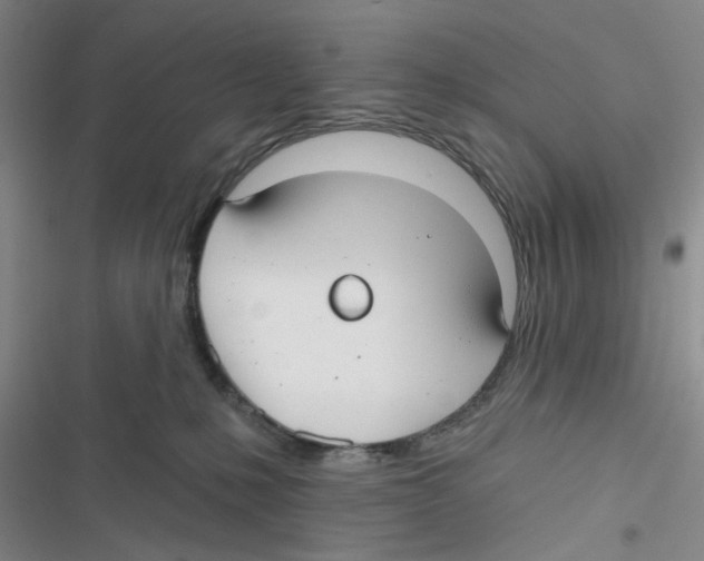 X0000116790231201001151108