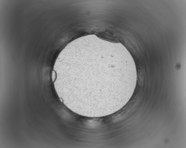 X0000116790232201001151108