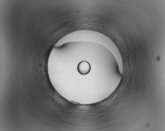 X0000116790233201001151108
