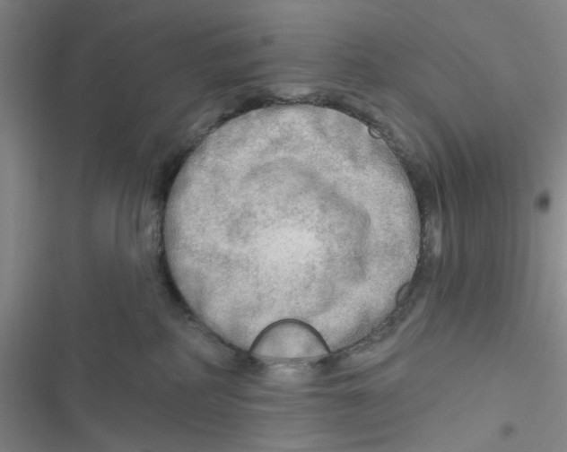 X0000116790234201001151108