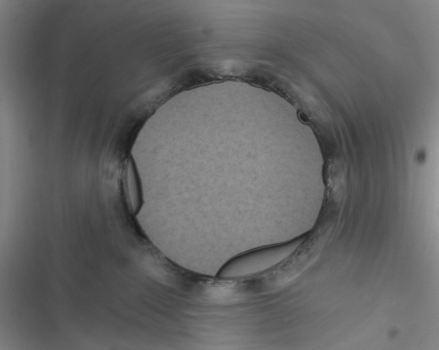 X0000116790235201001151108